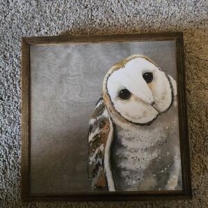 Framed Owl Canvas Art
